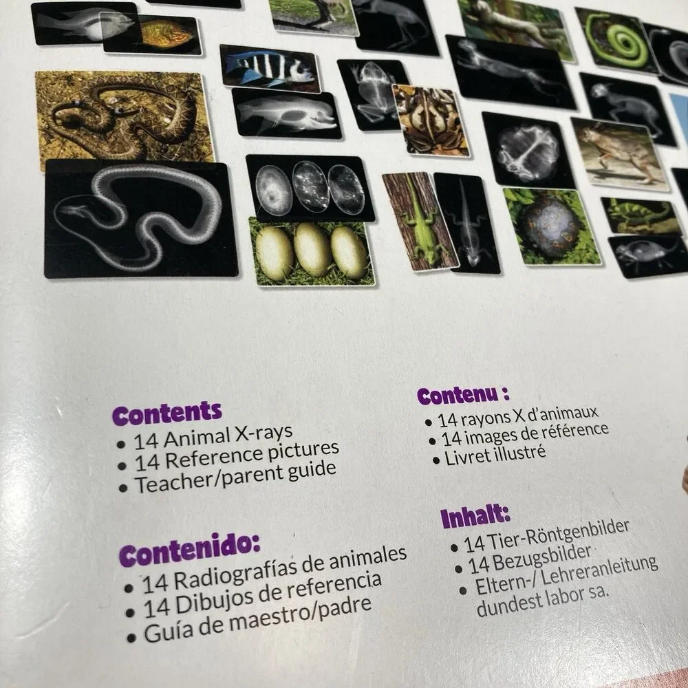 Animal X-Rays Biology Reference Photos Set 14 Teacher Parent Guide Home School